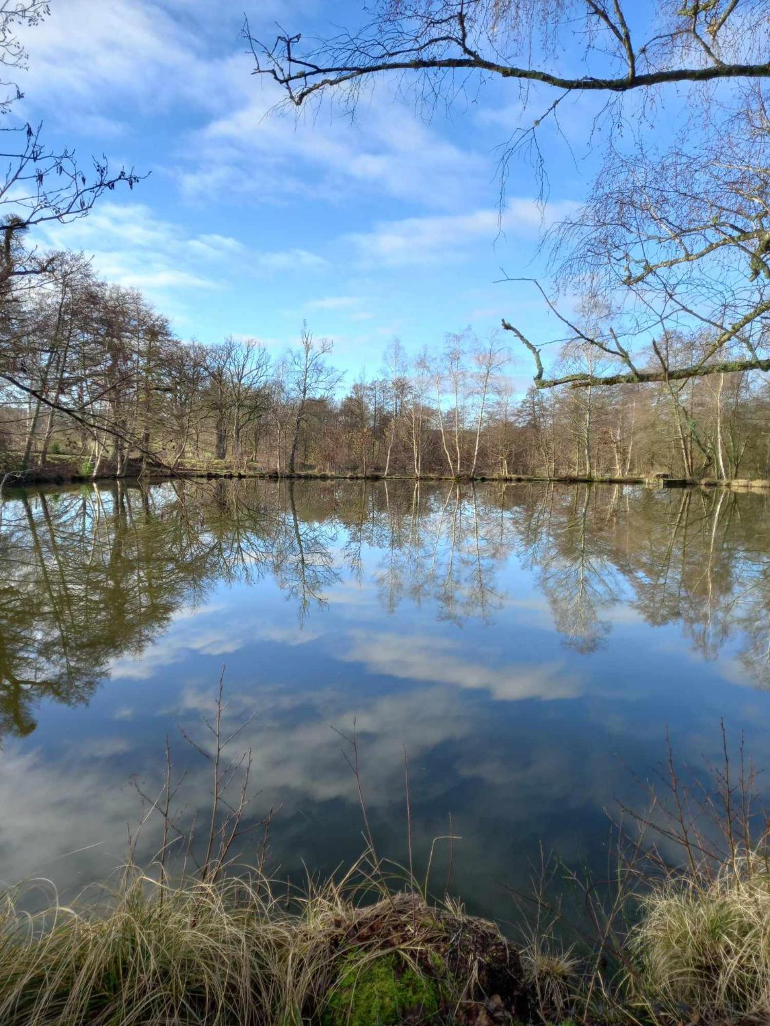 Le Chalet Limousin Folles Buitenkant foto